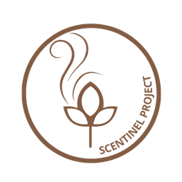 Scentinel Logo